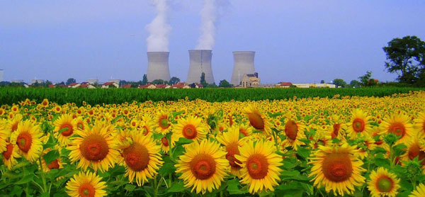 certificat-economie-energie-prendre-valeur